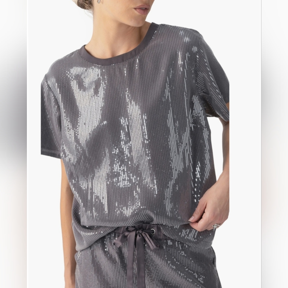 Sanctuary The Perfect Sequin Tee Size 2X NWT Grey